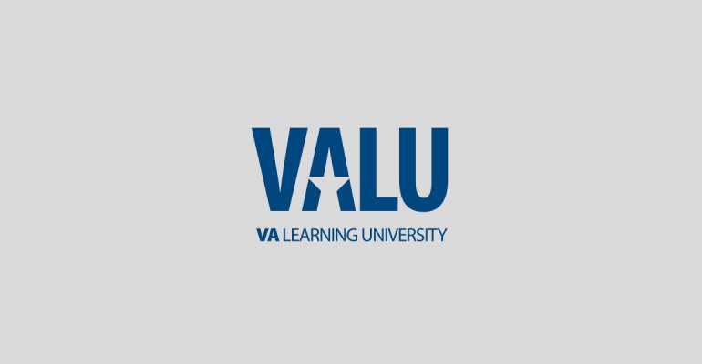 VALU Logo