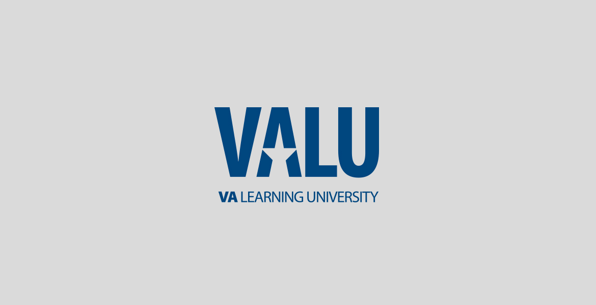 VALU Logo