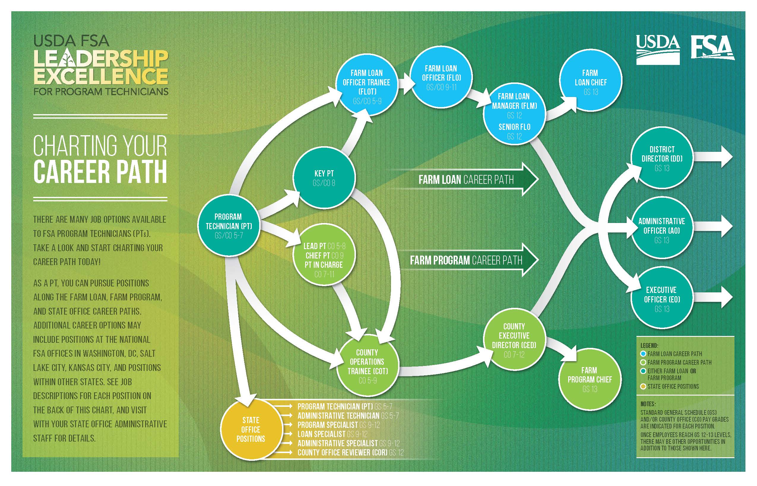 Choosing career path